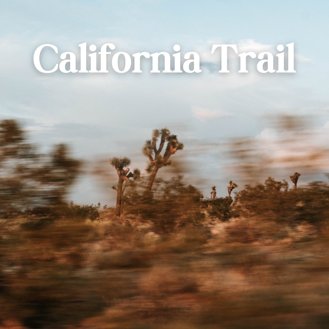CALIFORNIA TRAIL
